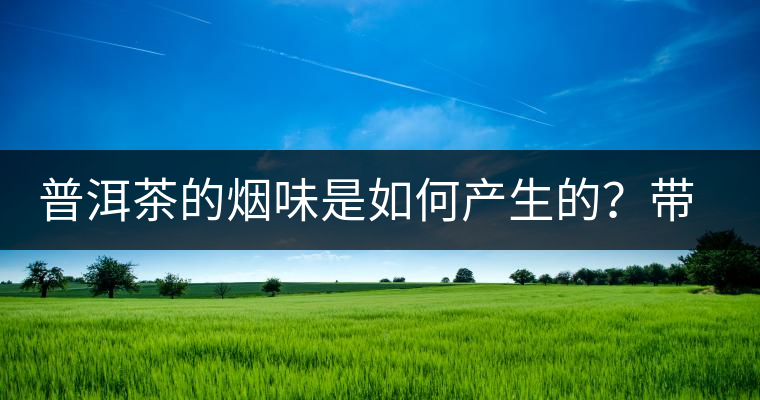 普洱茶的煙味是如何產(chǎn)生的？帶煙味的普洱茶是好還是壞？