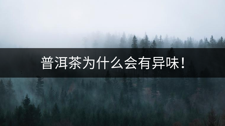 普洱茶為什么會有異味！