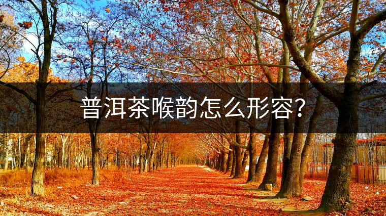 普洱茶喉韻怎么形容？