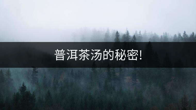 普洱茶湯的秘密!