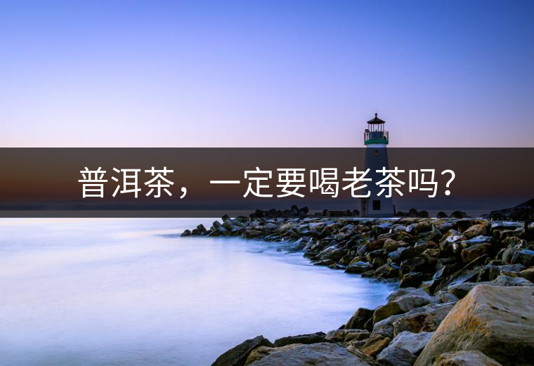 普洱茶，一定要喝老茶嗎？