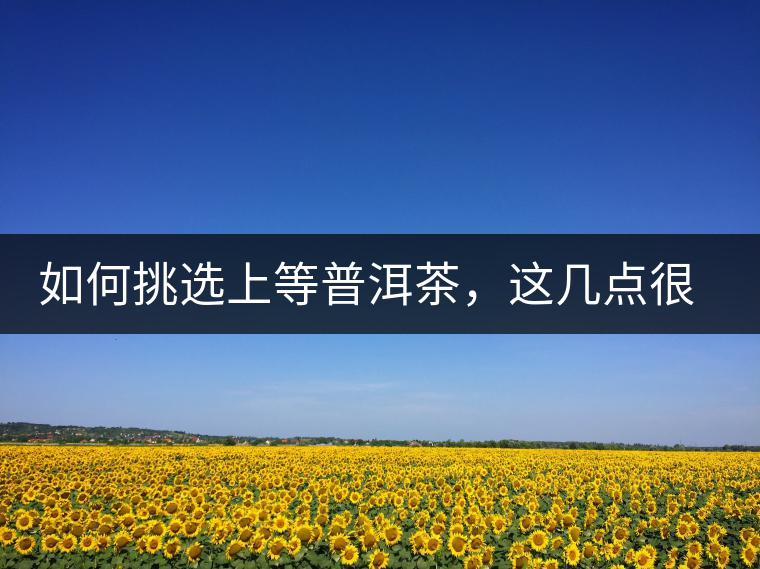 如何挑選上等普洱茶，這幾點(diǎn)很關(guān)鍵