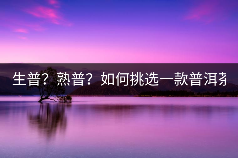 生普？熟普？如何挑選一款普洱茶？