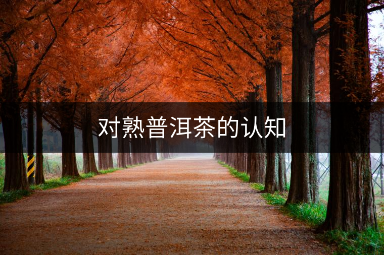對熟普洱茶的認知