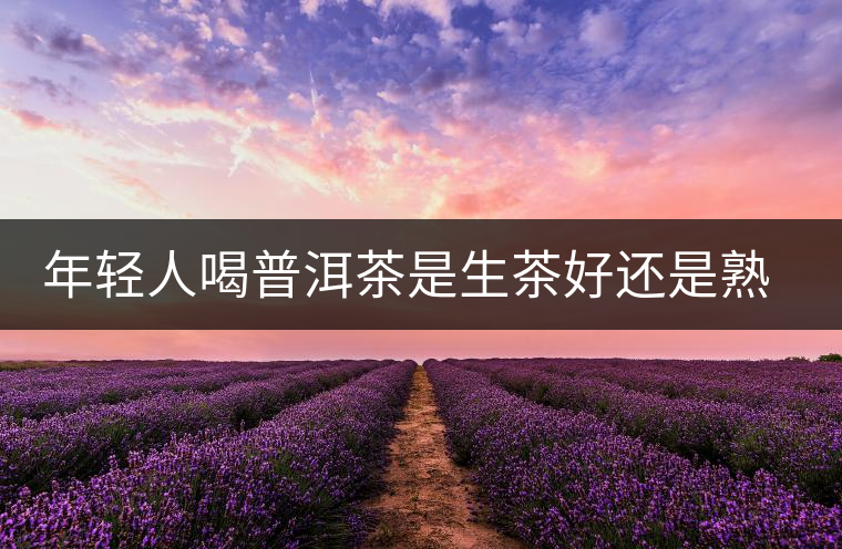 年輕人喝普洱茶是生茶好還是熟茶好？該怎么選擇？