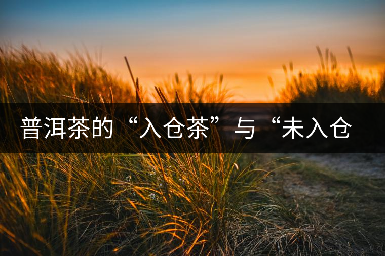 普洱茶的“入倉茶”與“未入倉茶”如何區(qū)分，你造嗎？