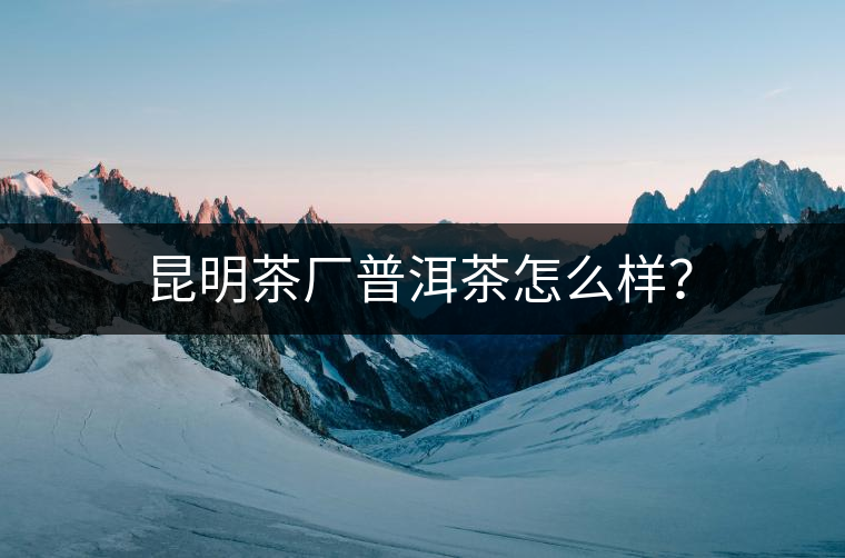 昆明茶廠普洱茶怎么樣？