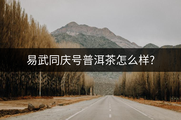 易武同慶號(hào)普洱茶怎么樣?