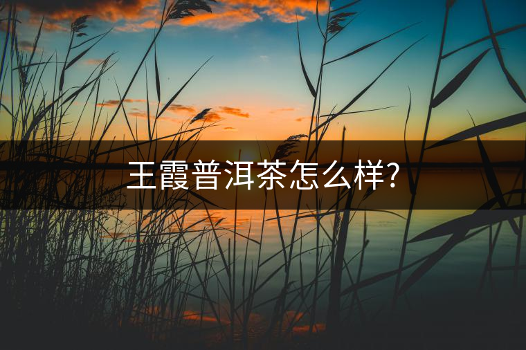 王霞普洱茶怎么樣?