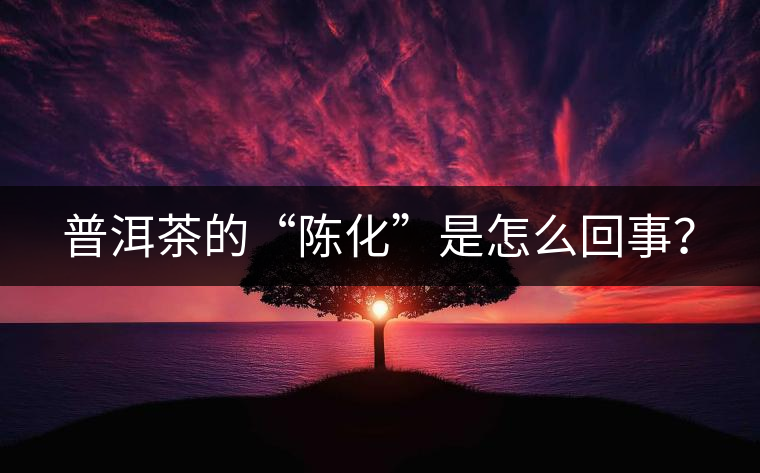 普洱茶的“陳化”是怎么回事？
