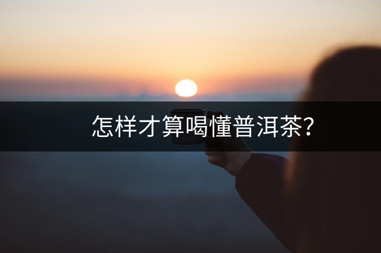 　怎樣才算喝懂普洱茶？
