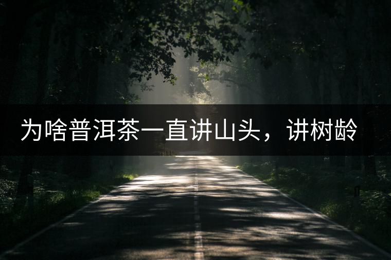 為啥普洱茶一直講山頭，講樹齡，很少講品種呢！