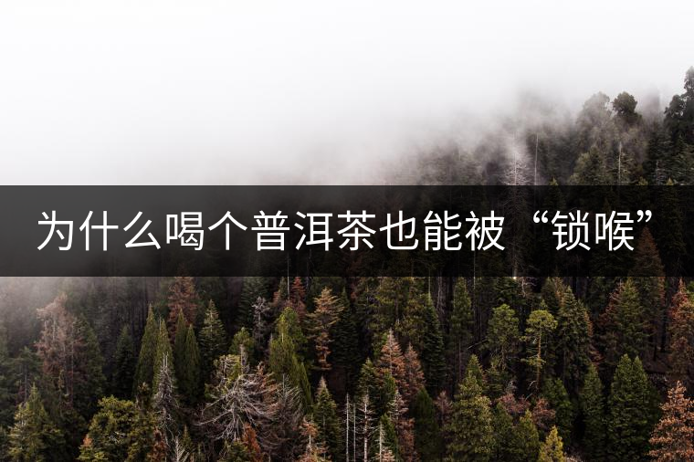 為什么喝個普洱茶也能被“鎖喉”？