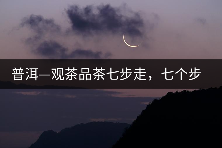 普洱—觀茶品茶七步走，七個步驟，喝懂普洱茶