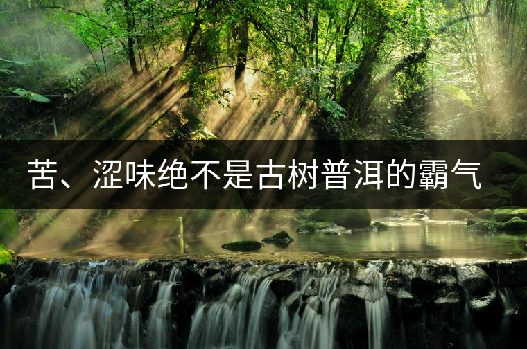 苦、澀味絕不是古樹(shù)普洱的霸氣，那也叫懂普洱茶，別逗了！