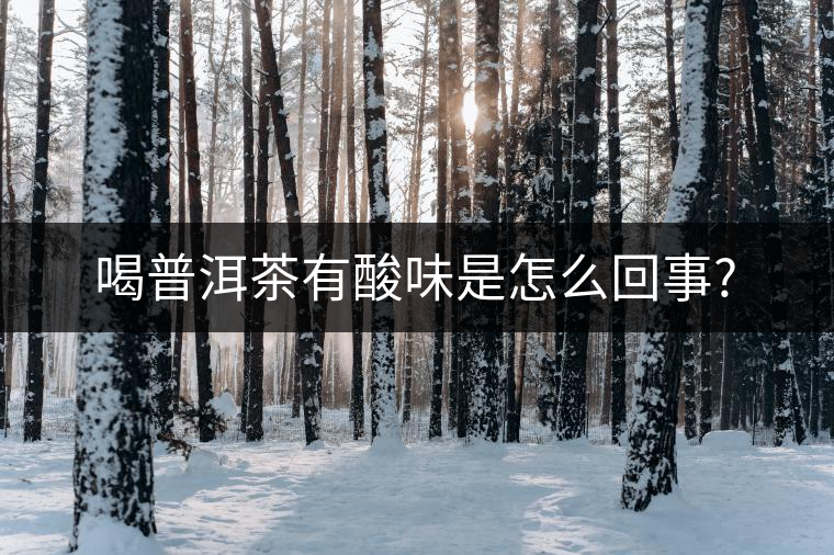 喝普洱茶有酸味是怎么回事?
