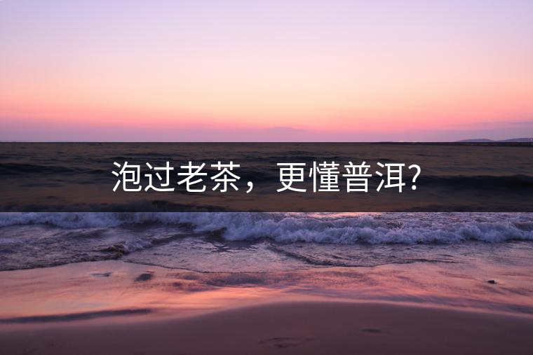 泡過老茶，更懂普洱?
