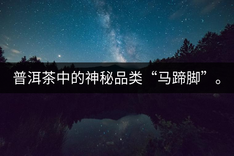 普洱茶中的神秘品類“馬蹄腳”。