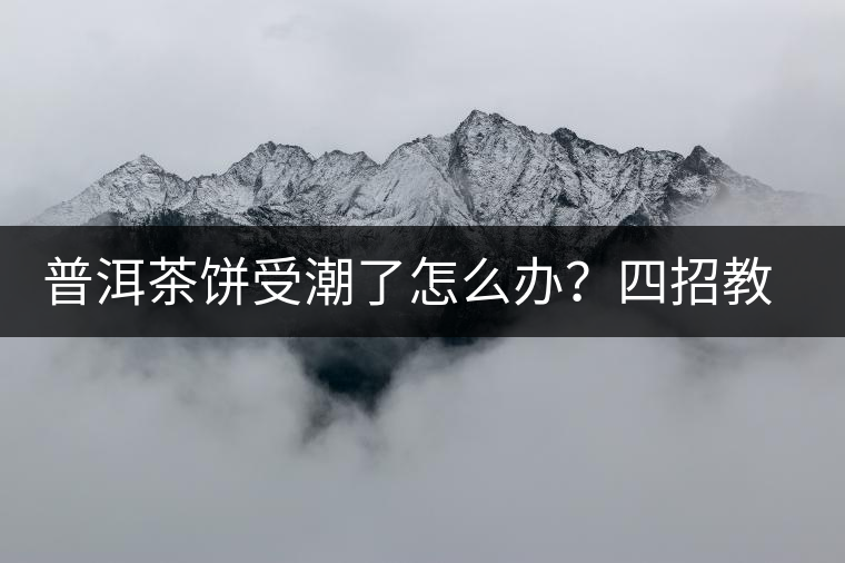 普洱茶餅受潮了怎么辦？四招教你拯救受潮發(fā)霉的茶餅