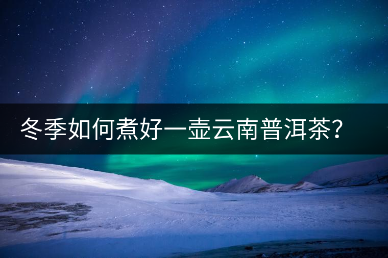 冬季如何煮好一壺云南普洱茶？記好這份煮茶攻略