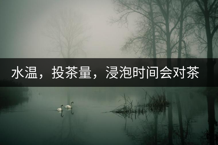 水溫，投茶量，浸泡時(shí)間會(huì)對(duì)茶湯產(chǎn)生什么影響？