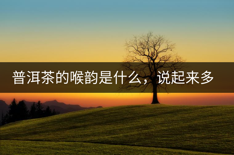 普洱茶的喉韻是什么，說起來多少有點(diǎn)玄乎