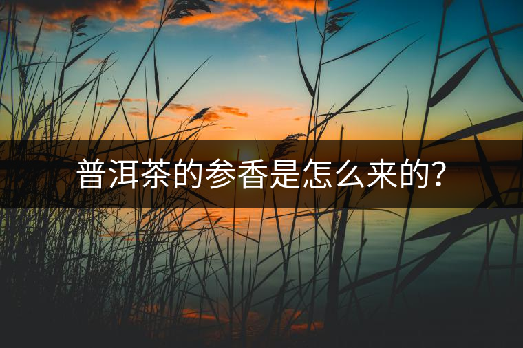 普洱茶的參香是怎么來(lái)的？