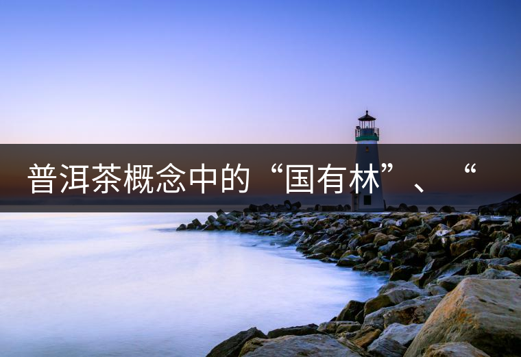 普洱茶概念中的“國有林”、“高桿古樹”是怎么樣的存在？