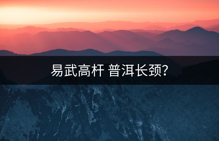易武高桿 普洱長(zhǎng)頸？