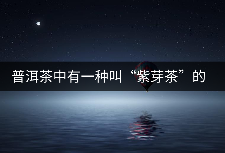 普洱茶中有一種叫“紫芽茶”的是怎么回事？