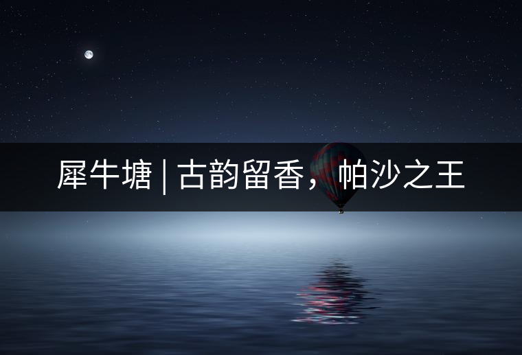 犀牛塘 | 古韻留香，帕沙之王