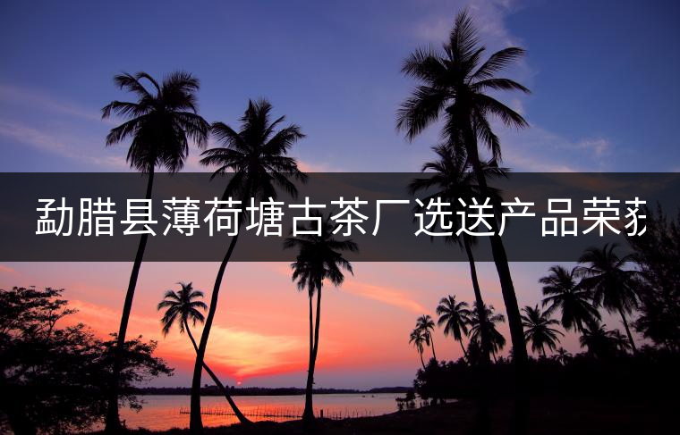 勐臘縣薄荷塘古茶廠選送產(chǎn)品榮獲2022年中港普洱茶博覽會(huì)金獎(jiǎng) 勐臘縣薄荷塘古茶廠選送產(chǎn)品榮獲2022年中港普洱茶博覽會(huì)金獎(jiǎng)