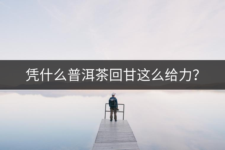憑什么普洱茶回甘這么給力？