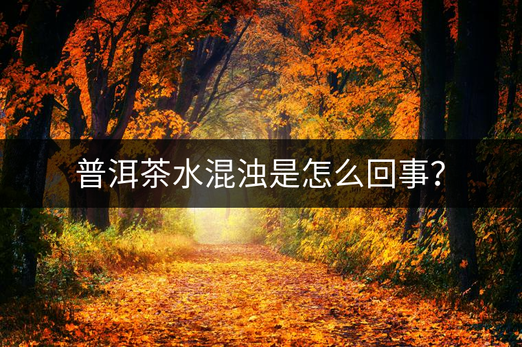 普洱茶水混濁是怎么回事？