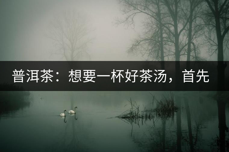 普洱茶：想要一杯好茶湯，首先要會(huì)醒茶