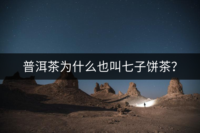 普洱茶為什么也叫七子餅茶？