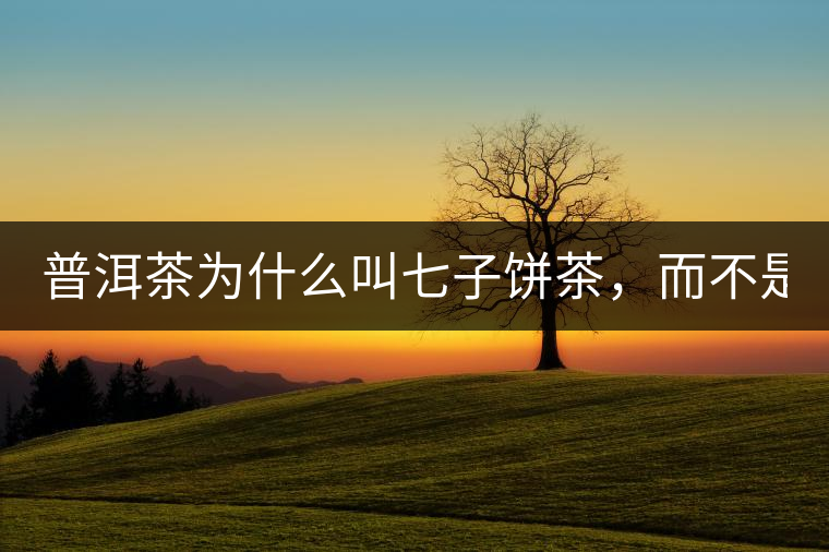 普洱茶為什么叫七子餅茶，而不是六子餅、八子餅......？