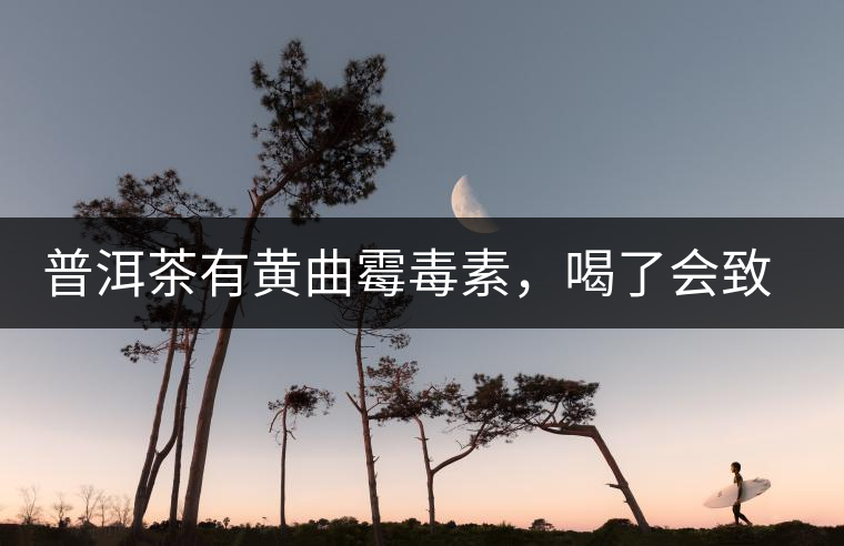 普洱茶有黃曲霉毒素，喝了會致癌？不黑不吹，咱用事實說話