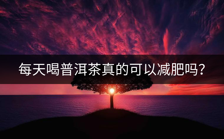 每天喝普洱茶真的可以減肥嗎？