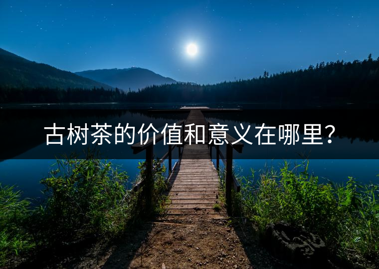 古樹茶的價值和意義在哪里？