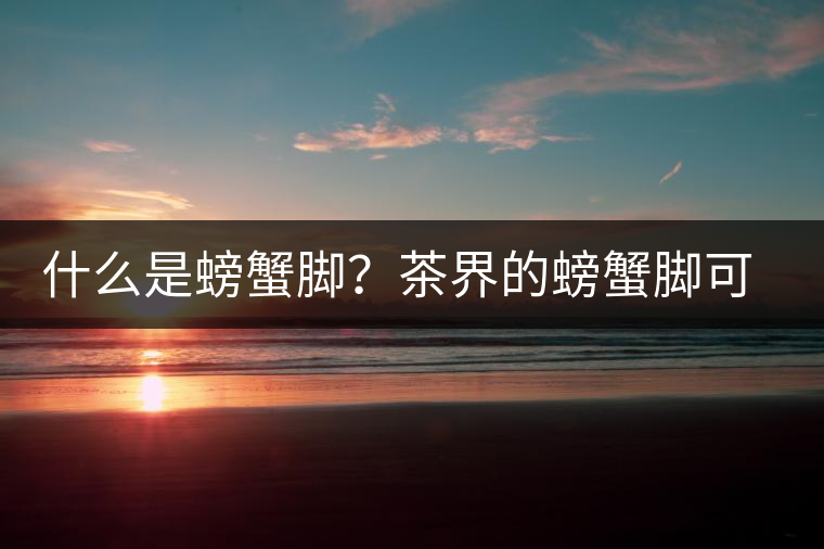 什么是螃蟹腳？茶界的螃蟹腳可能和你想的不一樣！