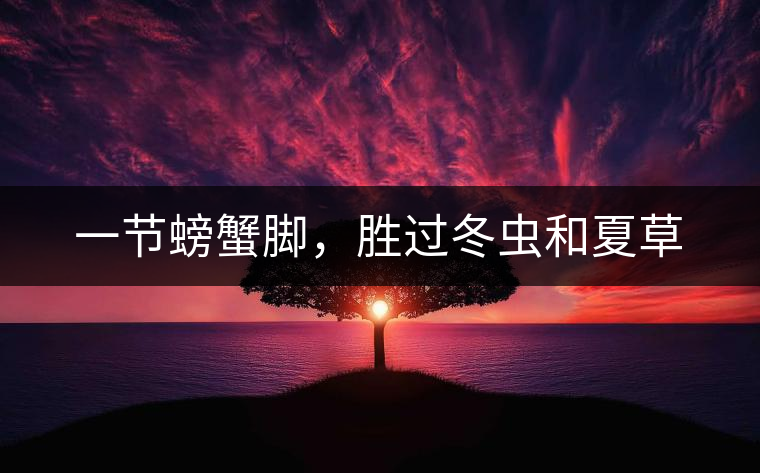 一節(jié)螃蟹腳，勝過冬蟲和夏草