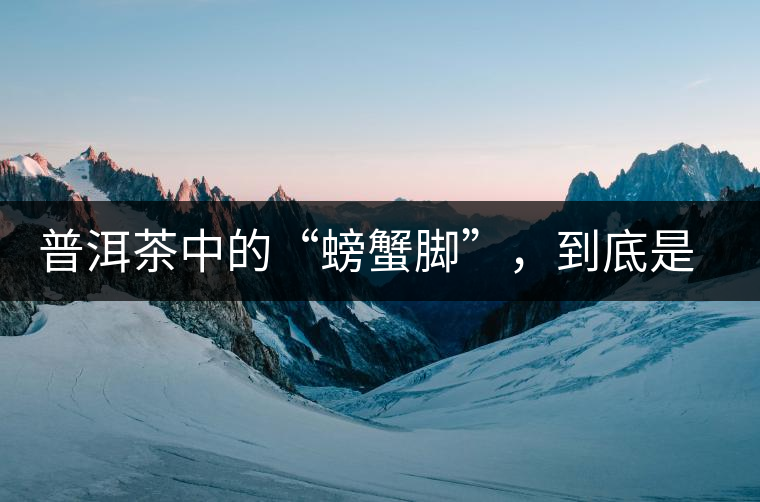 普洱茶中的“螃蟹腳”，到底是什么？如何辨別？