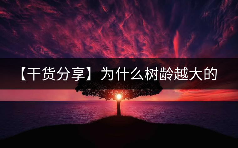 【干貨分享】為什么樹齡越大的普洱生茶，苦味越容易化掉？