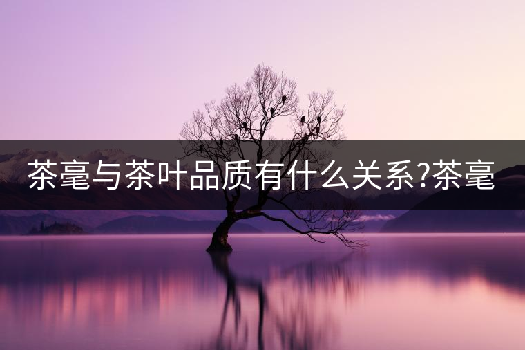 茶毫與茶葉品質(zhì)有什么關(guān)系?茶毫能決定品質(zhì)嗎? 茶毫與茶葉品質(zhì)有什么關(guān)系?茶毫能決定品質(zhì)嗎?