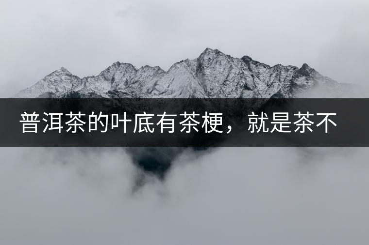 普洱茶的葉底有茶梗，就是茶不好嗎？