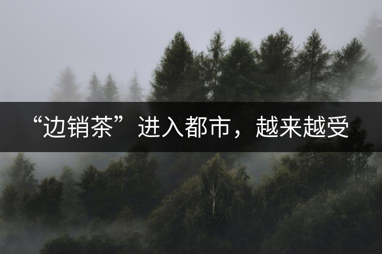 “邊銷茶”進(jìn)入都市，越來(lái)越受人們青睞