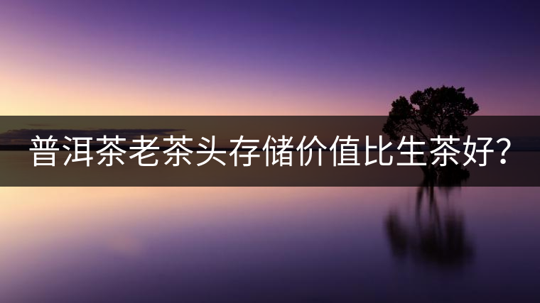 普洱茶老茶頭存儲價值比生茶好？