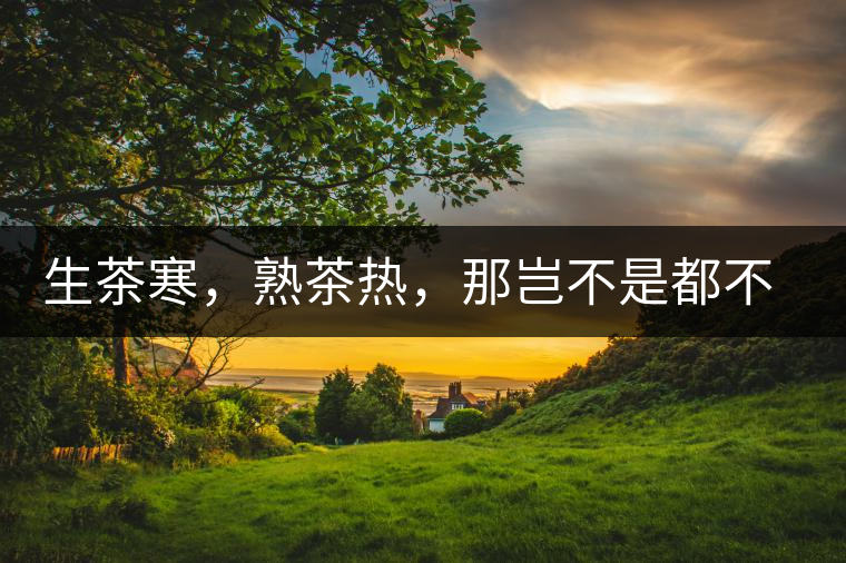 生茶寒，熟茶熱，那豈不是都不能喝了？丨實用