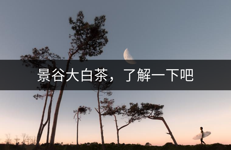 景谷大白茶，了解一下吧